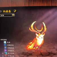 魔兽世界正式服 猎人宝宝系列 需要可多拍